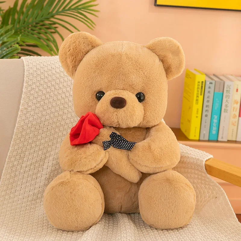 Teddy Bear Valentines Day Gift