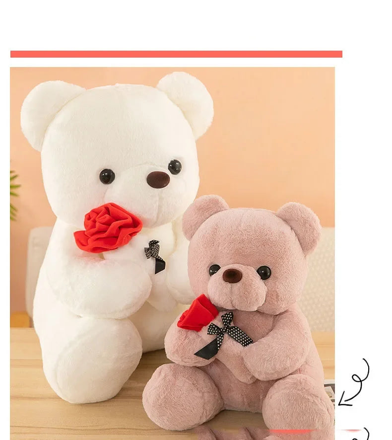 Teddy Bear Valentines Day Gift