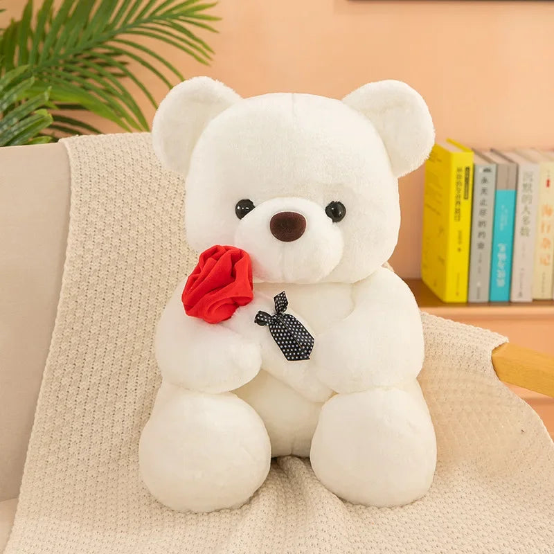 Teddy Bear Valentines Day Gift