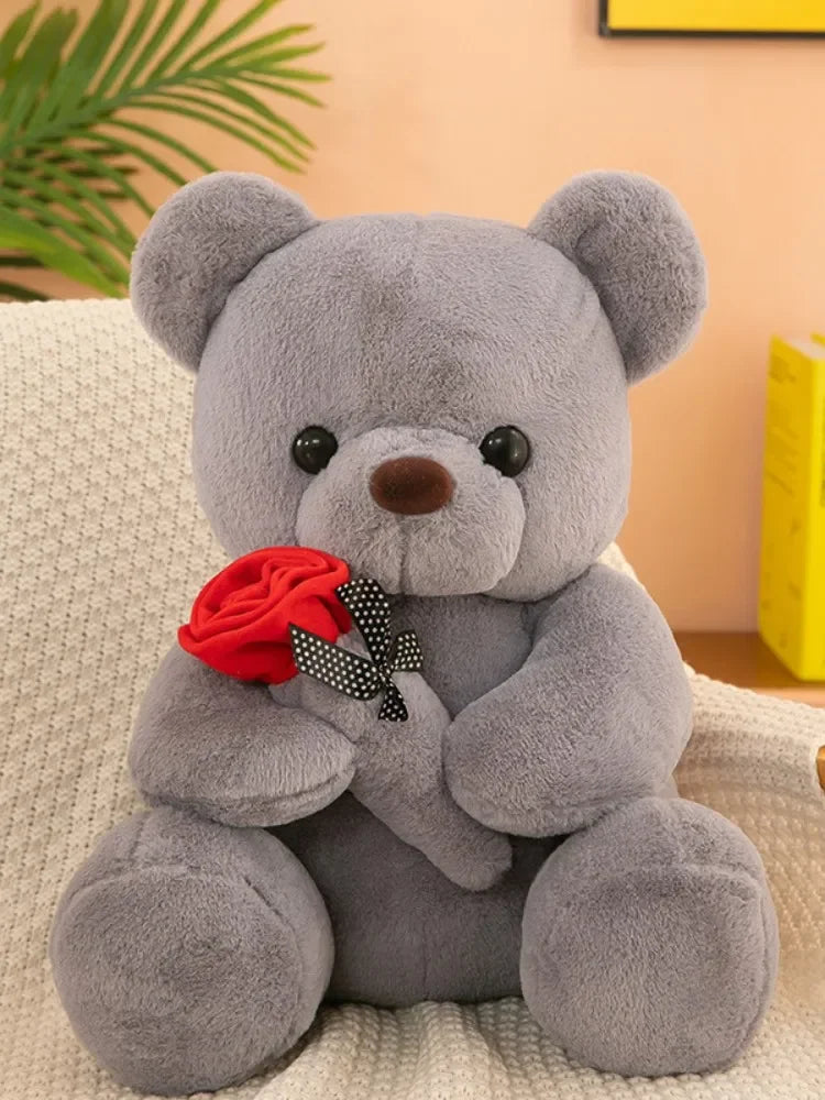 Teddy Bear Valentines Day Gift