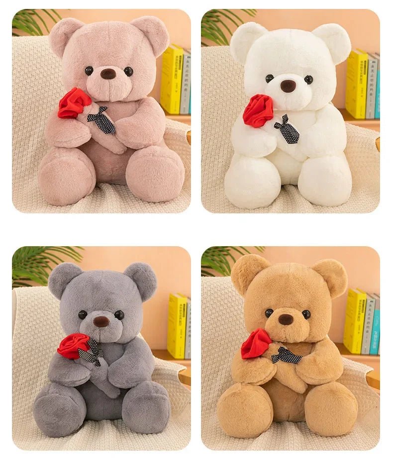 Teddy Bear Valentines Day Gift