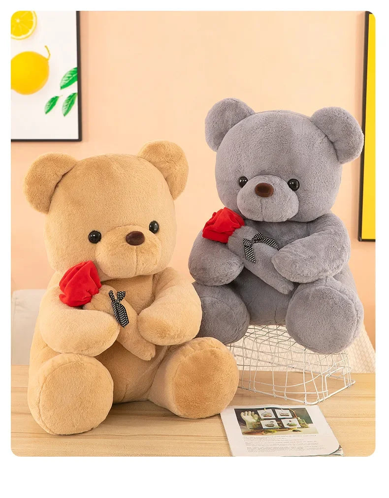 Teddy Bear Valentines Day Gift