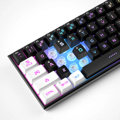 60% Compact Wired Keyboard 61 Keys RGB Backlight